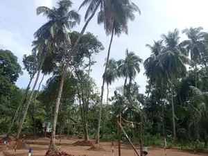 Land For Sale in Mirigama