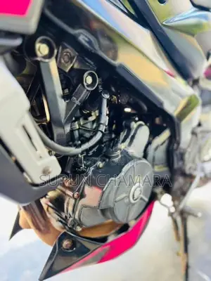 Bajaj Pulsar NS200 2024