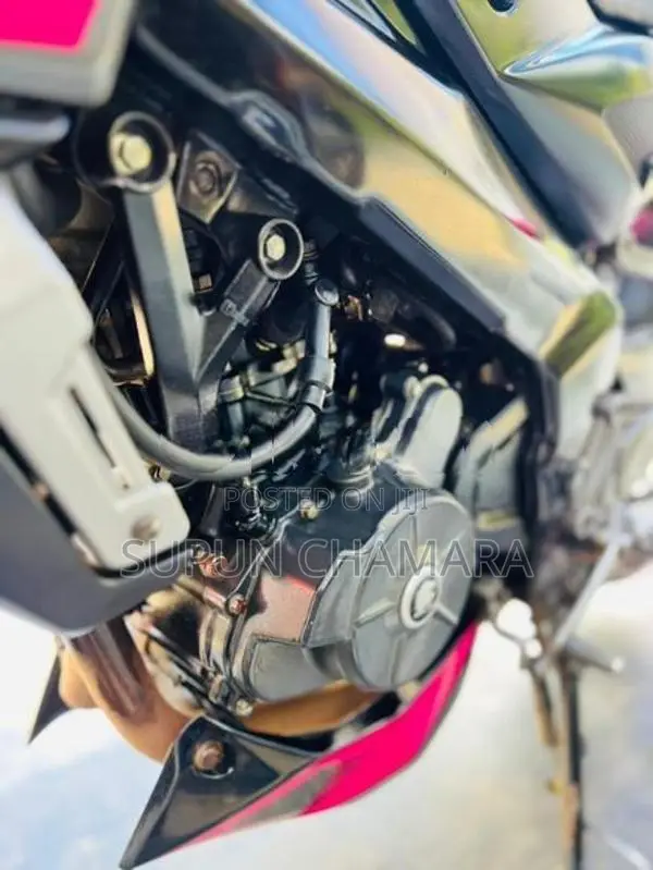 Bajaj Pulsar NS200 2024