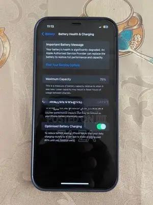 Apple iPhone 12 Pro Max (Used)