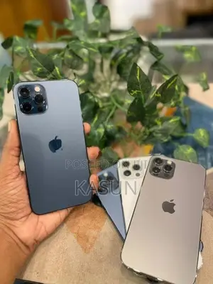 Apple iPhone 12 Pro 256GB (Used)