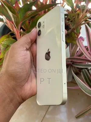 Apple iPhone 12 128GB (Used)
