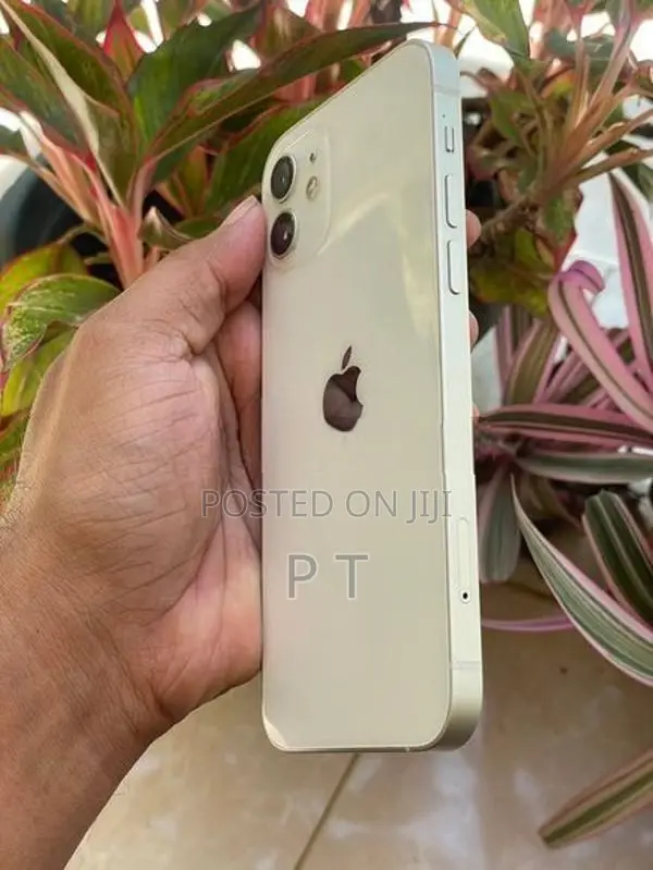 Apple iPhone 12 128GB (Used)