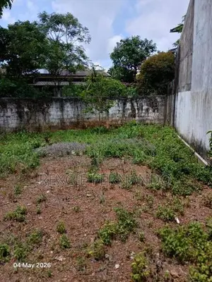 bear land