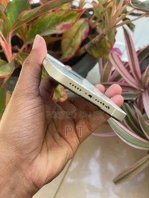 Apple iPhone 12 128GB (Used)