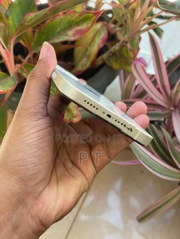 Apple iPhone 12 128GB (Used)