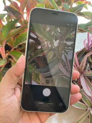 Apple iPhone 12 128GB (Used)