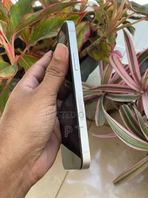 Apple iPhone 12 128GB (Used)