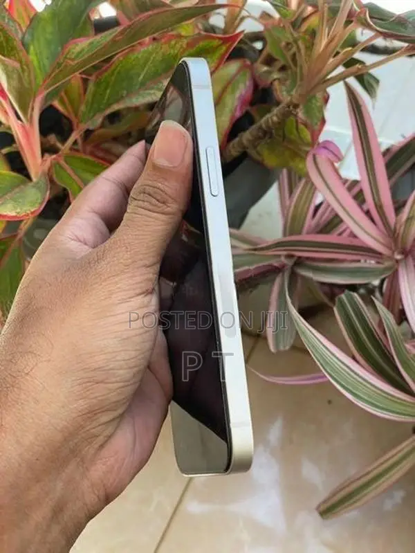 Apple iPhone 12 128GB (Used)