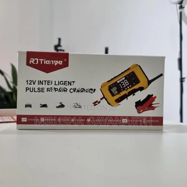 Pulse Repair Car Battery Charger