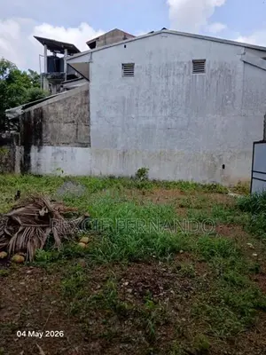 bear land