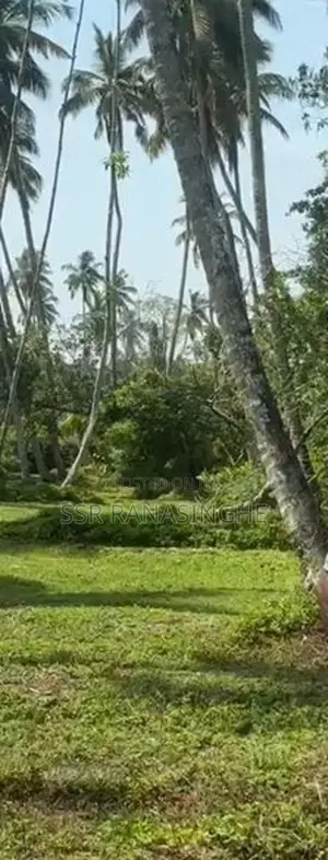 Land for Sale දුම්මලසුරිය