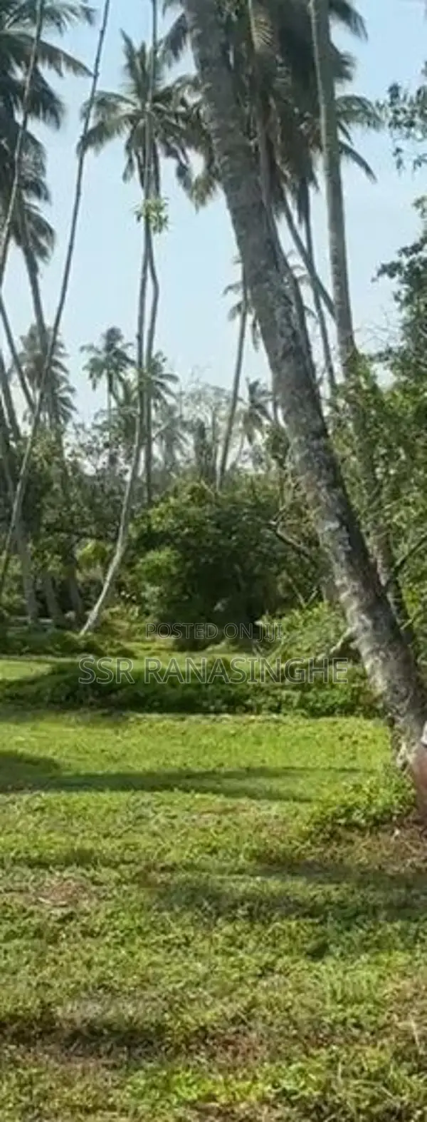 Land for Sale දුම්මලසුරිය