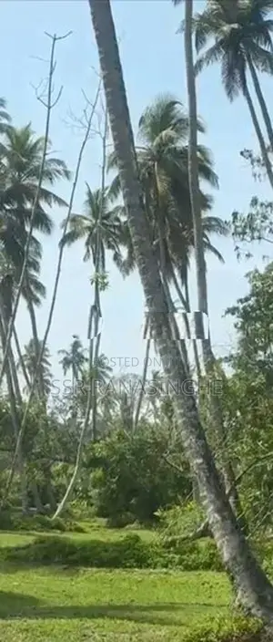 Land for Sale දුම්මලසුරිය