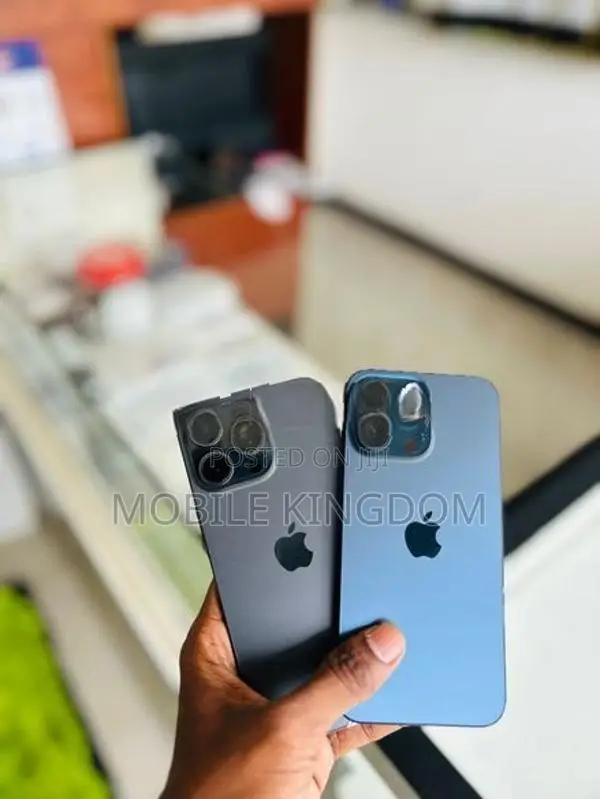Apple iPhone 15 Pro Max 256GB (Used)
