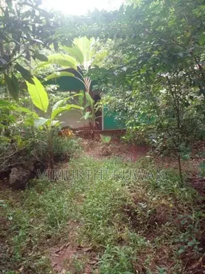 ඉඩම විකිනීමට පිලැස්ස