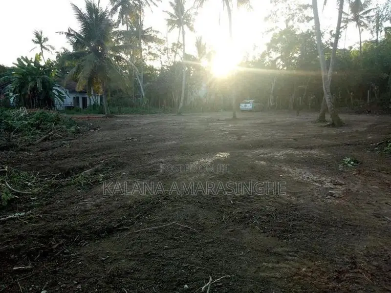 Land for Sale in Ahangama – 65 Perches