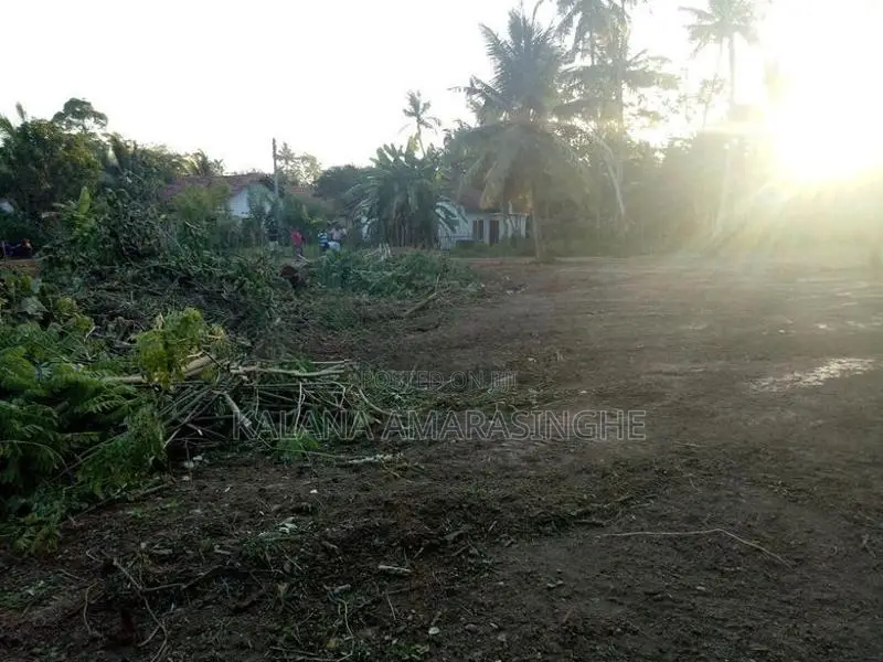 Land for Sale in Ahangama – 65 Perches
