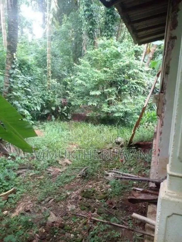 ඉඩම විකිනීමට පිලැස්ස