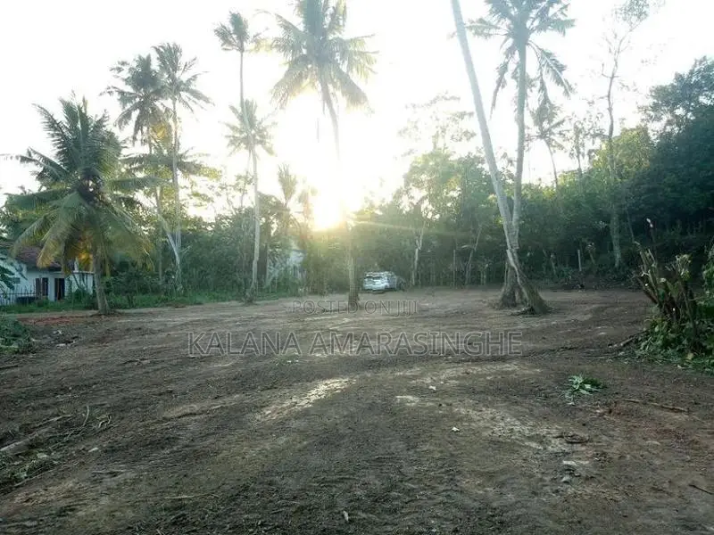 Land for Sale in Ahangama – 65 Perches