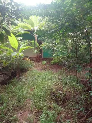 ඉඩම විකිනීමට පිලැස්ස
