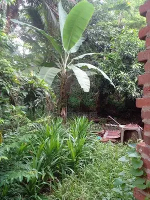 ඉඩම විකිනීමට පිලැස්ස