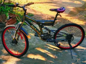 Mountain Bicycle