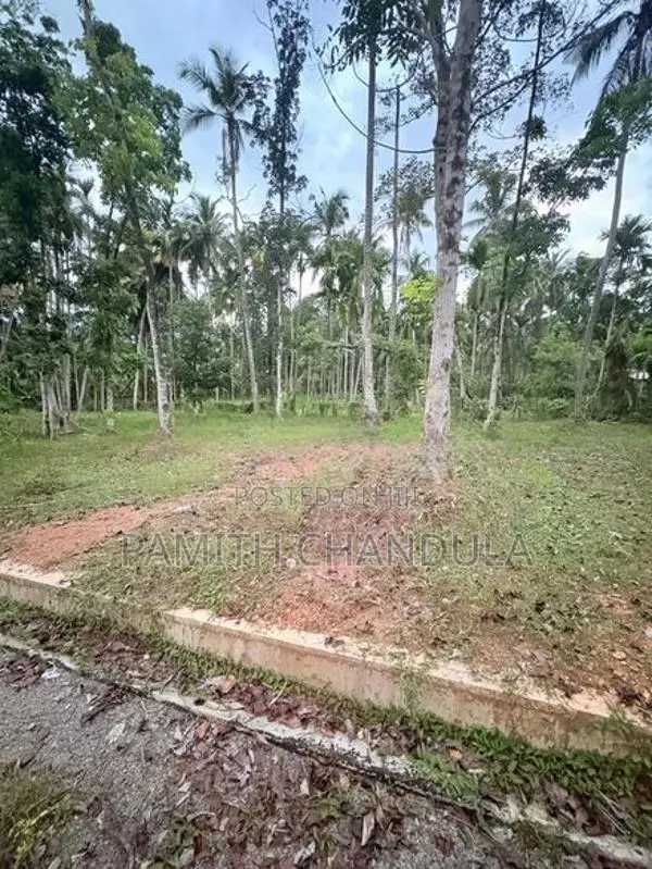 Land for Sale in Weliweriya