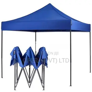 Folding Canopy 10*10