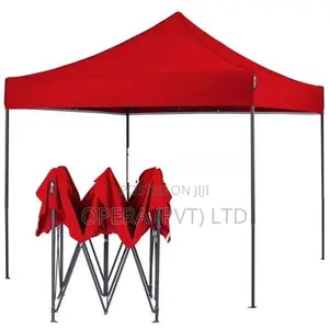Folding Canopy 10*10