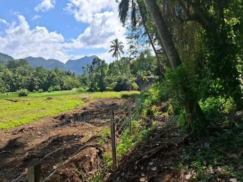 Valuable 3.75 Acres Agriculture Land for Sale in Matale.
