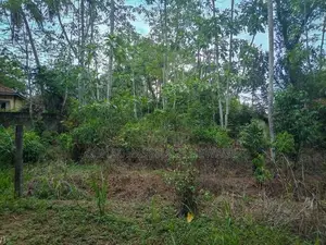 Land for Sale in Weligama