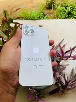 Apple iPhone 12 Pro 256GB (Used)