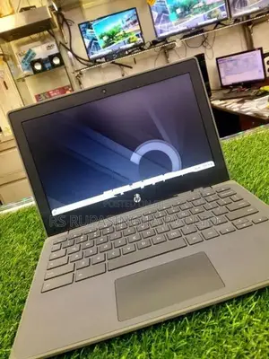 Hp Chrome Book
