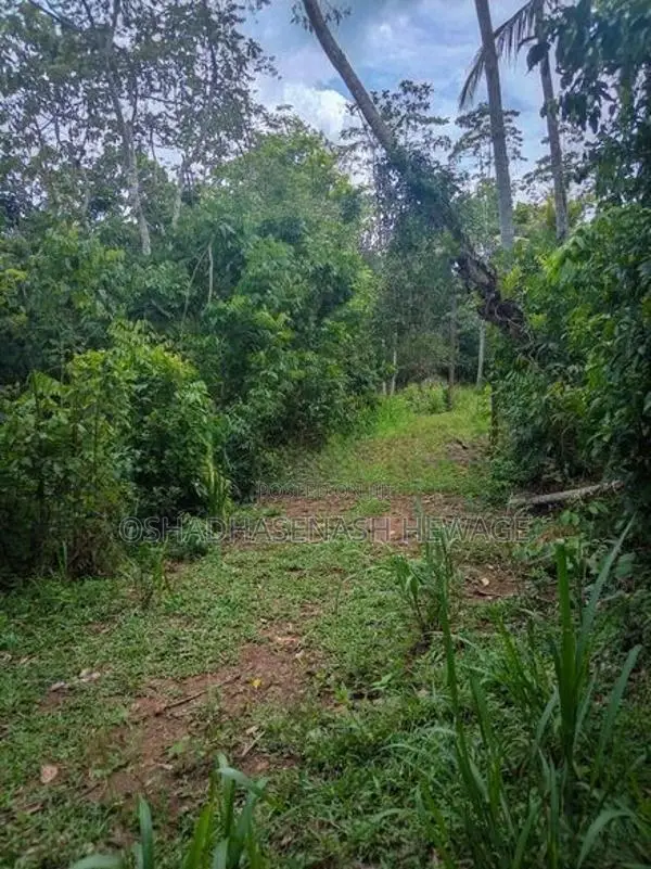 Land for Sale in Weligama