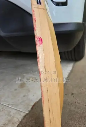 Cricket Bat