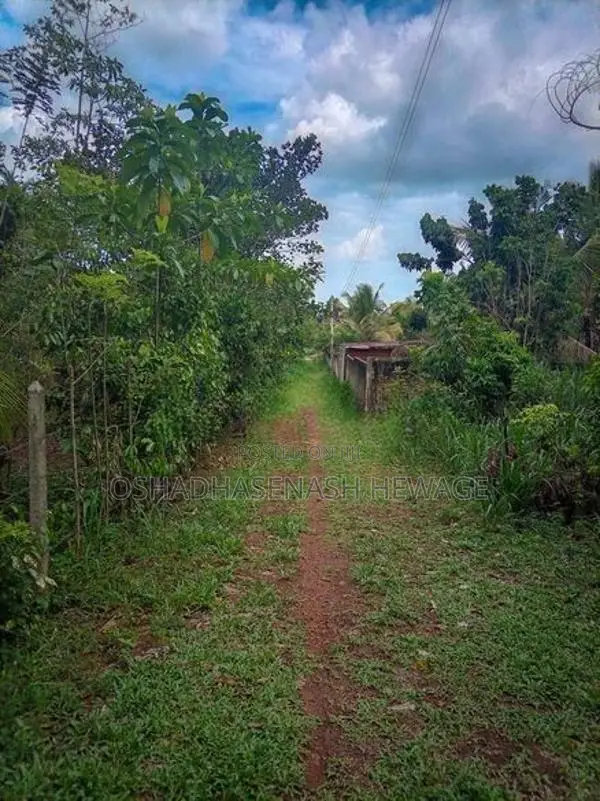 Land for Sale in Weligama