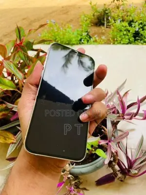 Apple iPhone 12 Pro 256GB (Used)