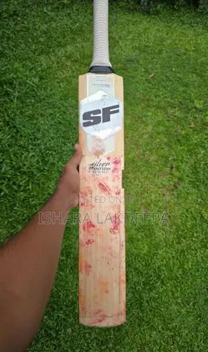 Cricket Bat