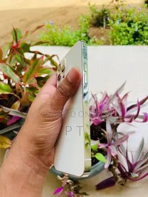 Apple iPhone 12 Pro 256GB (Used)