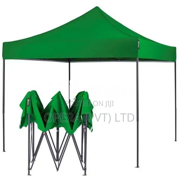 Folding Canopy 10*10