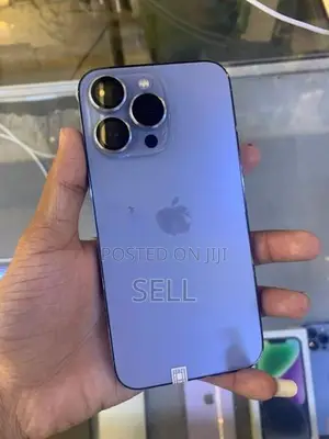 Apple iPhone 13 Pro Max 256GB (Used)