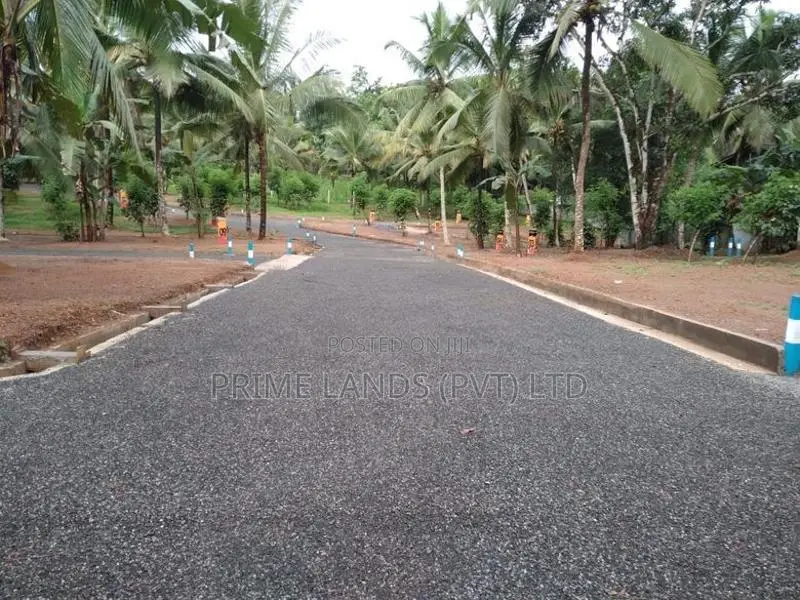 හෝමාගම තලගල බිම් කොටස් විකිණීමට