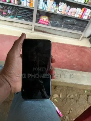 Apple iPhone 13 Pro (Used)