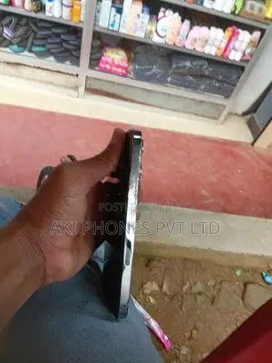 Apple iPhone 13 Pro (Used)