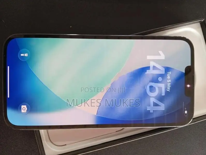 Apple iPhone 13 Pro Max (Used)