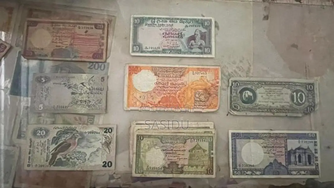 Old Money Notes Lot