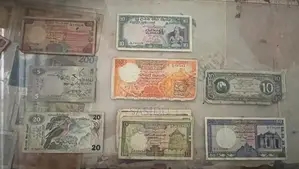 Old Money Notes Lot