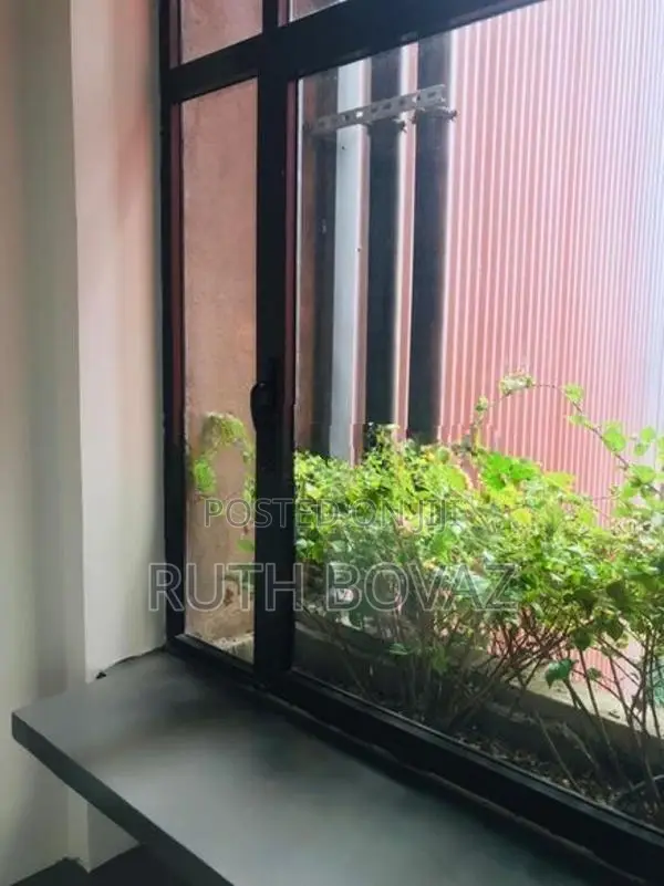Premium Garden-View Office Space in Colombo 5