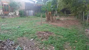 Land for Sale in Kalalgoda Ds8516
